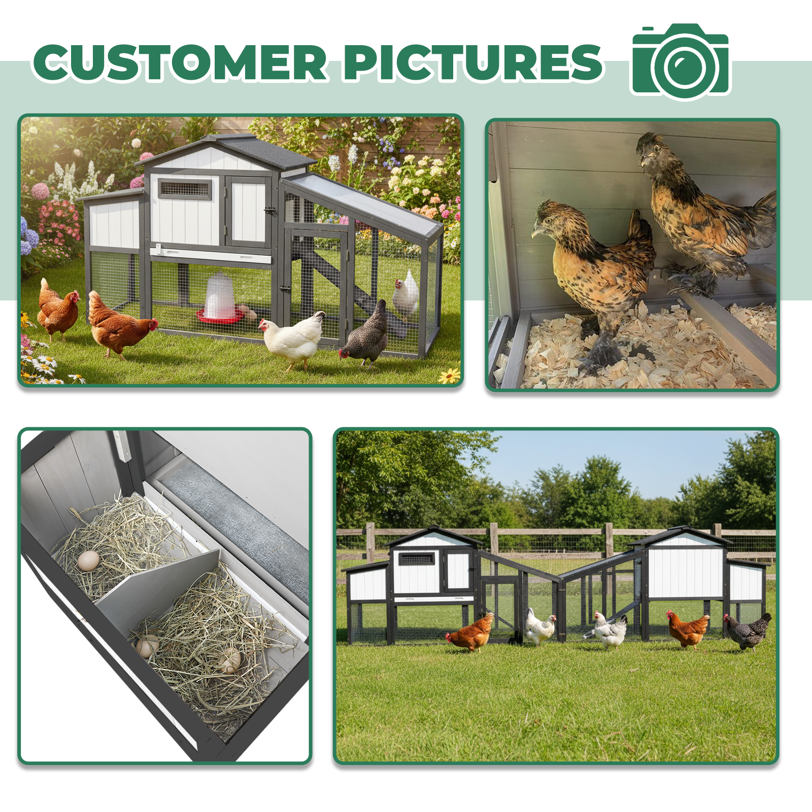 Chicken Coop Combinable Weatherproof & Predator-Proof - PET06 Black&White