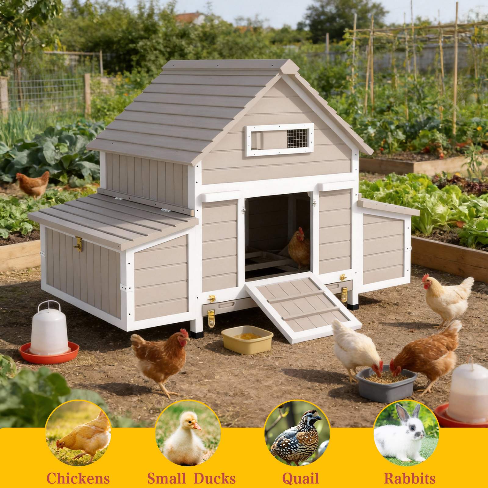 Large Expandable Chicken Coop with 6 Nesting Boxes & Run Ready-PET86