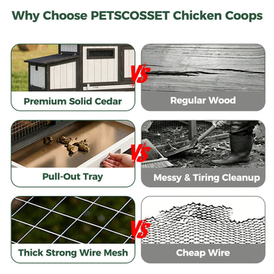 Modular Small Chicken Coop with Run for 2–3 Chickens - PET06