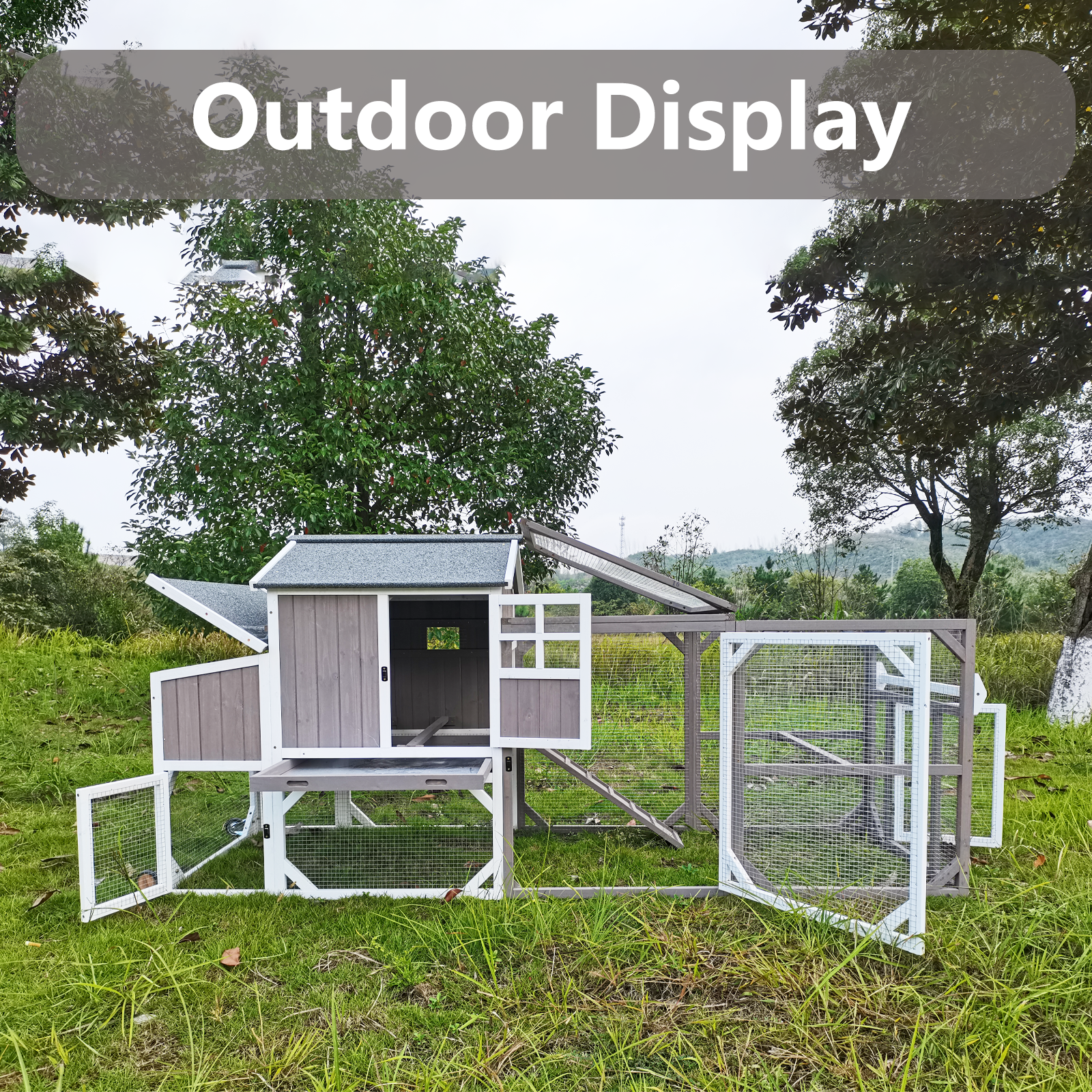 Large Mobile Wooden Chicken Coop 4-12 Chickens - PET24W