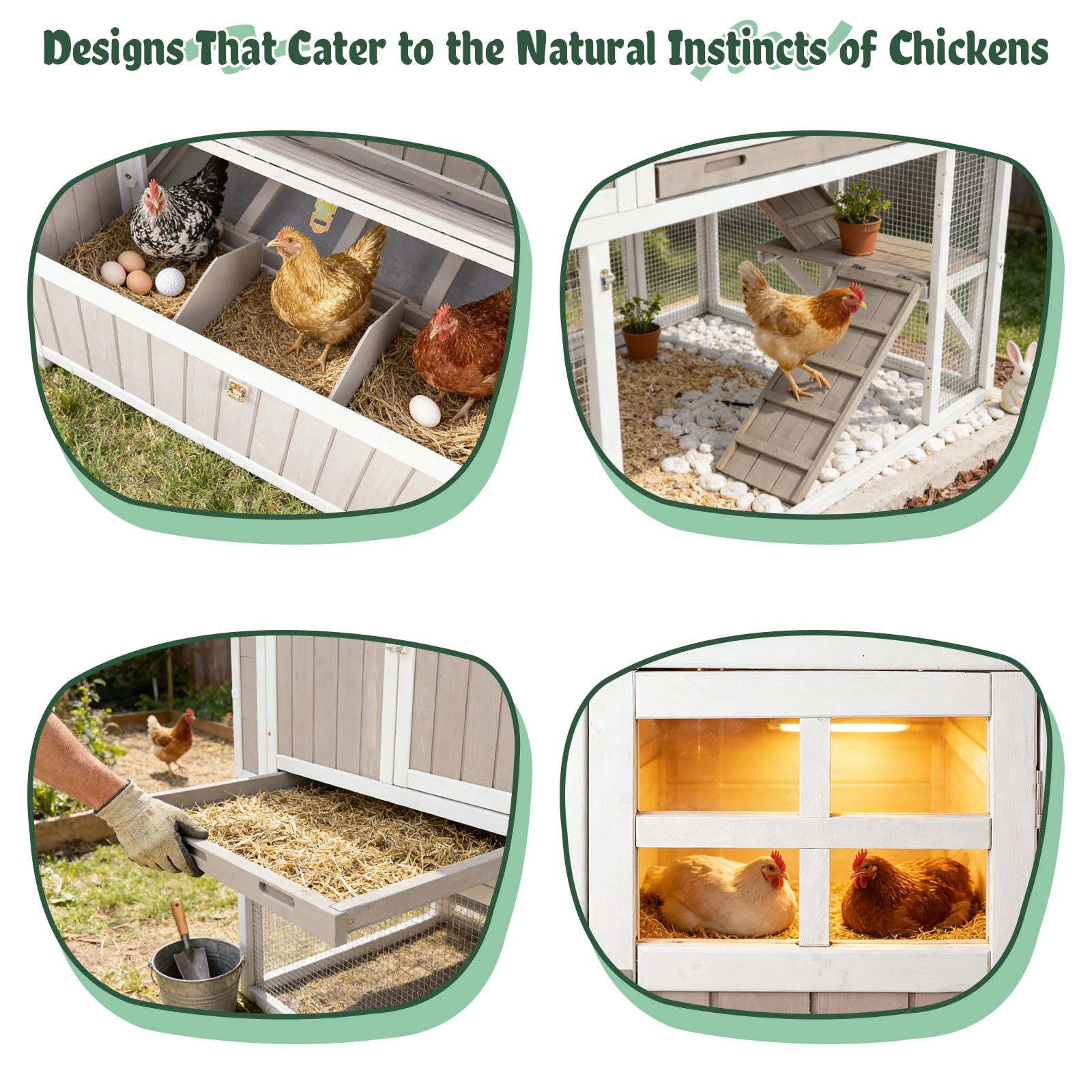 Medium Chicken Coop Predator-Proof for 2–4 Chickens Expandable to Large Coop - PET85