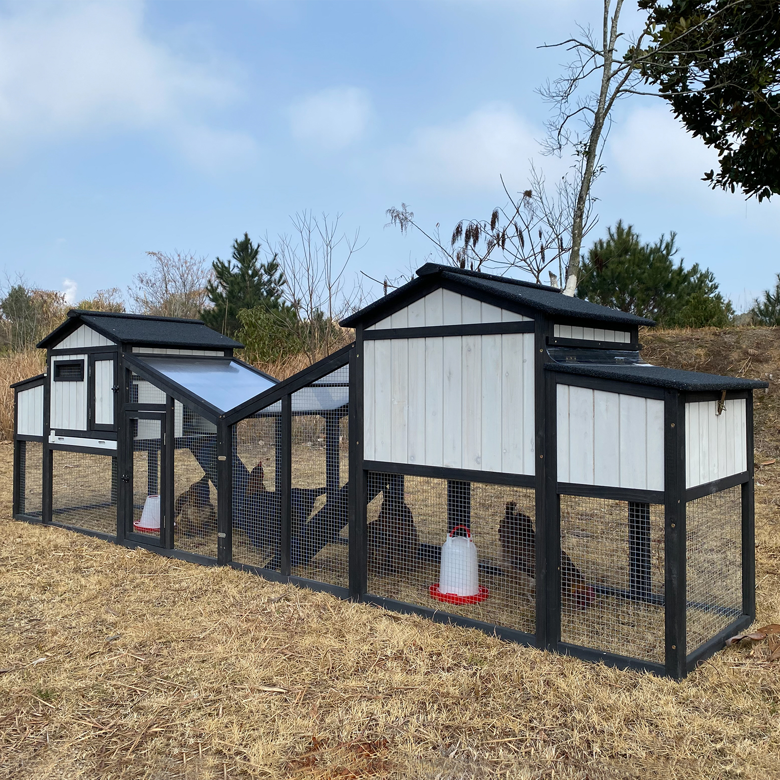 65″L Wooden Hen House with Nesting Box, Run,UV Panel-PET06-BLACKWHITE