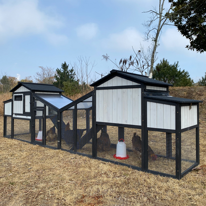 65″L Wooden Hen House with Nesting Box, Run,UV Panel-PET06-BLACKWHITE