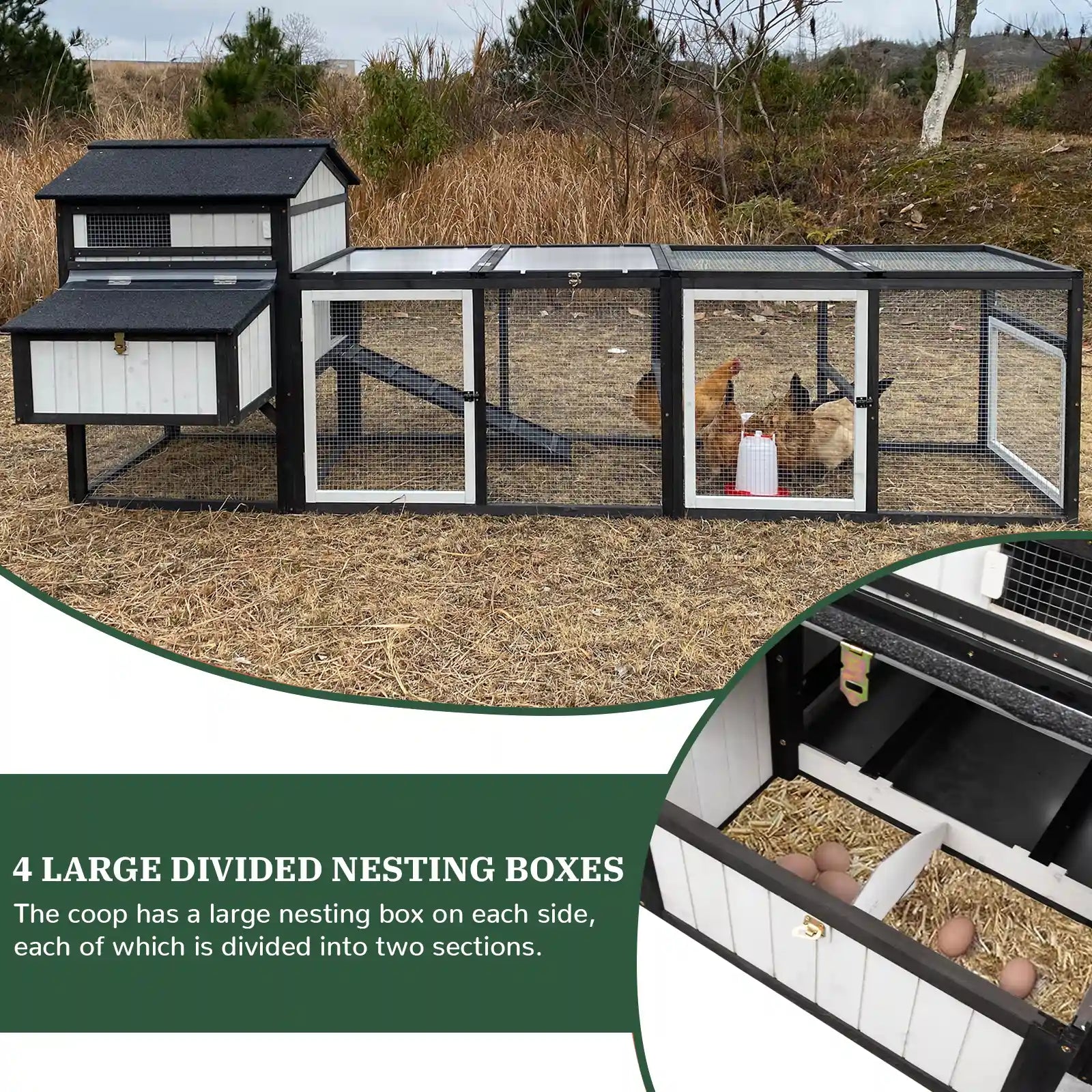 Large chicken coop with run for 4–12 chickens, includes 4 nesting boxes - PET27