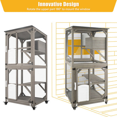 Close-up of cat resting inside enclosed shelter box