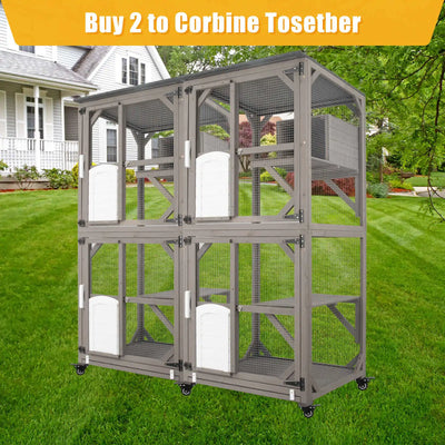 Catio structure with open top section and ramp
