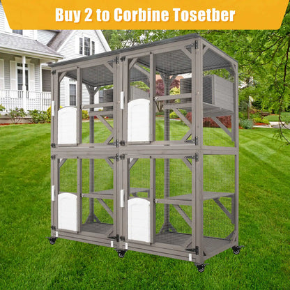 Catio structure with open top section and ramp