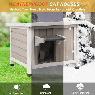 Cat entering front door of weatherproof shelter