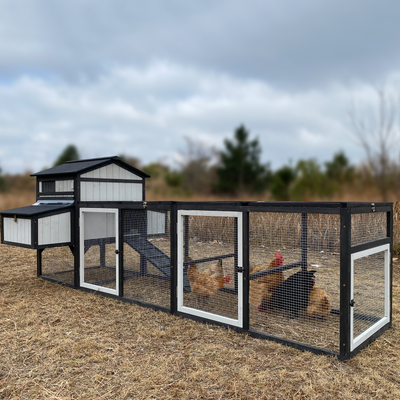 Large chicken coop with run for 4–12 chickens, includes 4 nesting boxes
