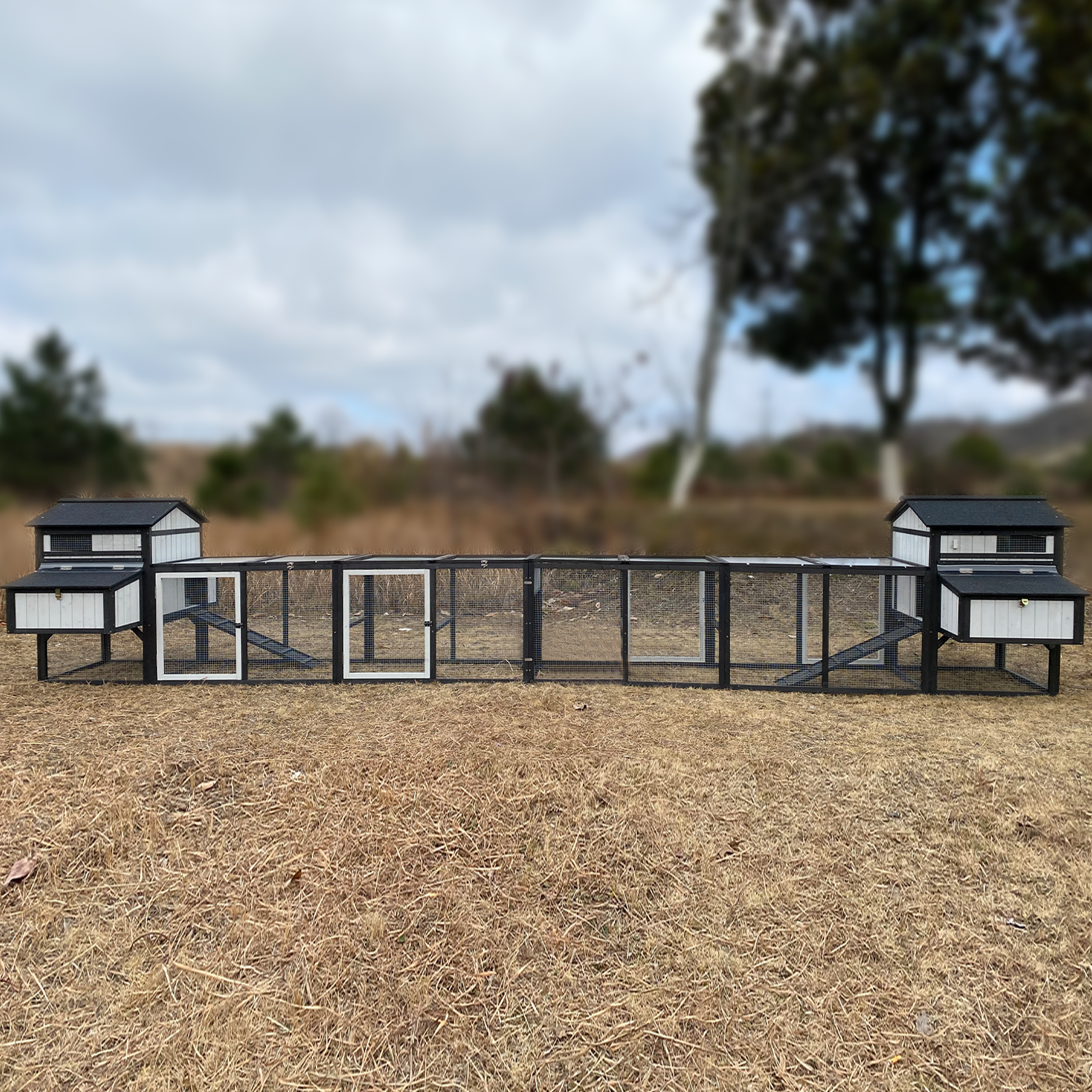 116″L Extra Large Chicken Coop with 4 Nesting Boxes for 4 Chickens-PET27-BLACKWHITE