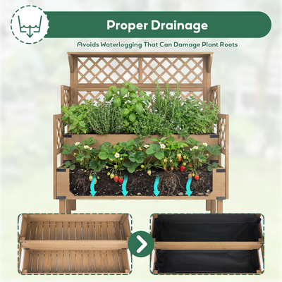 Raised Garden Bed - 2-Tier Vertical with Trellis