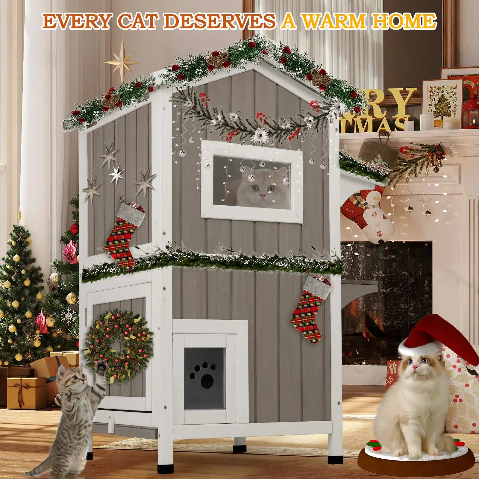 Inside view of two-story insulated outdoor cat shelter