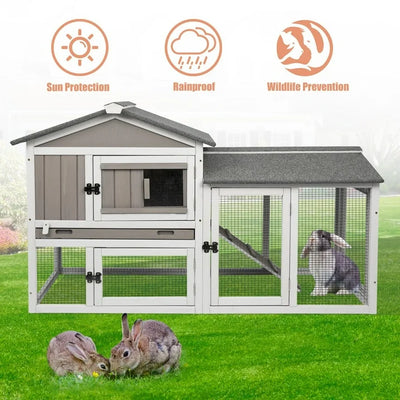 Small animals enjoying the 2-level wooden hutch enclosure