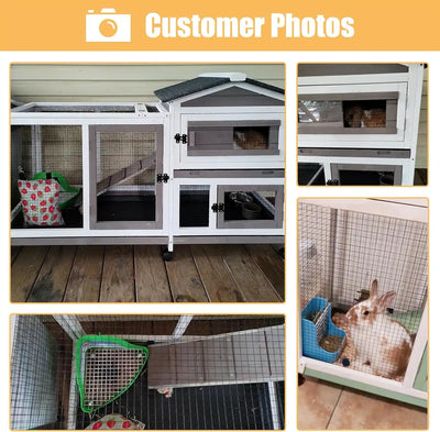 Bunny hutch with upper and lower levels and asphalt roof