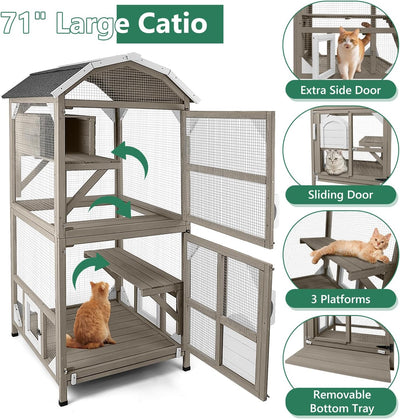 Spacious wooden cat enclosure with mesh panels and multiple levels