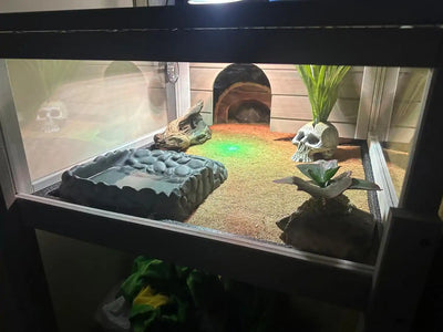 Tortoise enclosure with open-top and mesh cover for ventilation