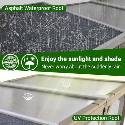 Weatherproof catio designed for safe outdoor cat play

