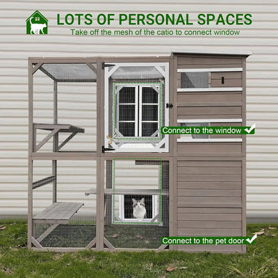 Large wooden cat house with mesh walls and ramp access