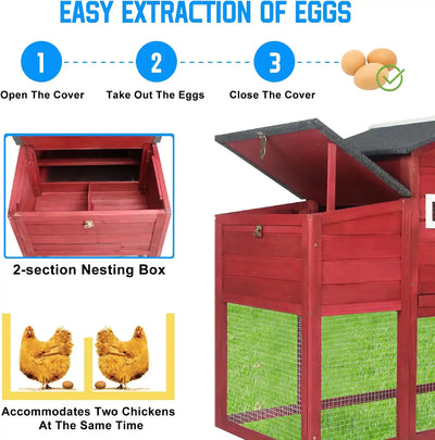 Indoor and outdoor chicken coop for small backyard flocks