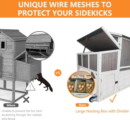 Extra-large backyard chicken cage suitable for 5–8 hens
