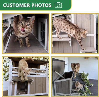 Two-story cat shelter with enclosed lower and upper levels