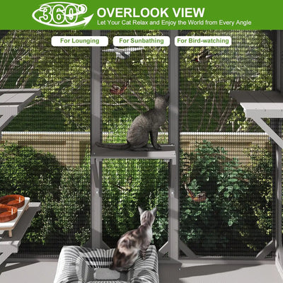 Expandable catio enclosure connected to house window