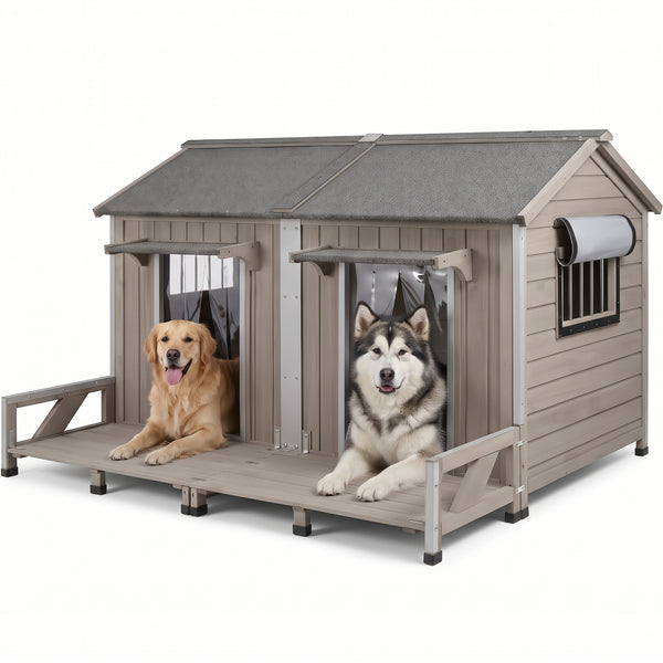 Petscosset gray wooden double dog house with porch and clear door curtains, featured with a lying Golden Retriever and an Alaskan Malamute
