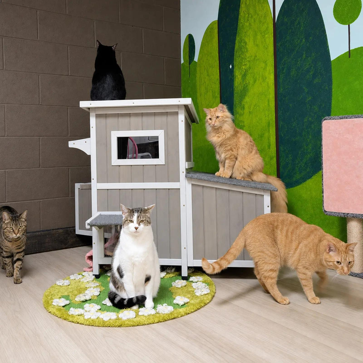 Multiple cats playing and resting around the Petscosset PET19 2-story weatherproof wooden cat house