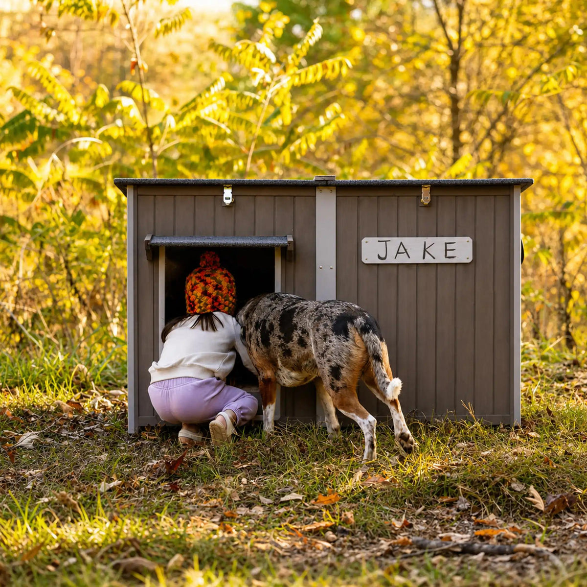 XL Dog House (55"L)- Chew-Proof Metal & Weatherproof-  220lbs Capacity - PET49