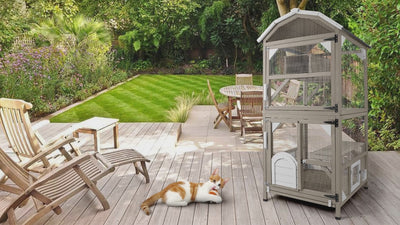 Durable outdoor catio with raised platforms and ramps