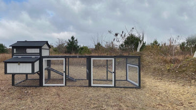 Large chicken coop with run for 4–12 chickens, includes 4 nesting boxes