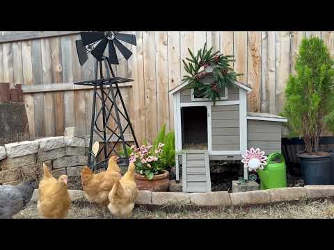 Small Chicken Coop for 1-3 Chickens with Nesting Box - PET25