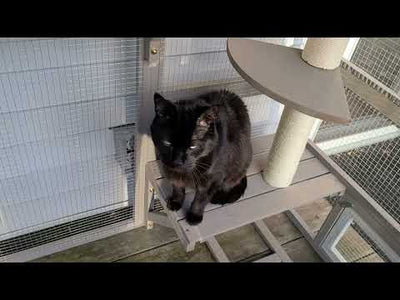 Expandable Multi-Cat Catio with 7 Platforms,2 Rooms, A Hammock & 2 Scratch Posts-PET91