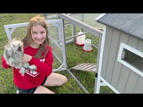 Medium Chicken Coop with Run for 4-8 Chickens Expandable to Large Coop - PET24