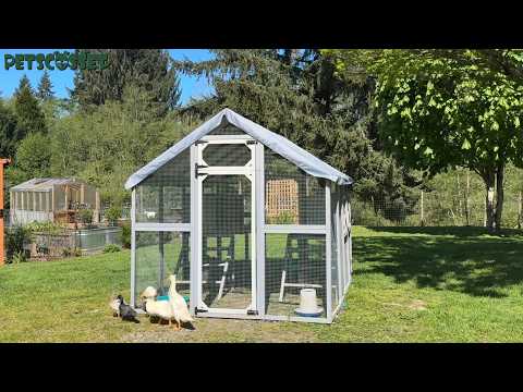 Walk-In Chicken Coop for 8–12 Chickens with 8 Nesting Boxes - PET29