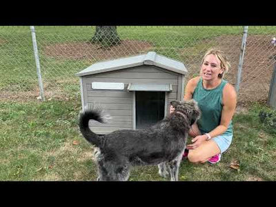 Large Dog House（40.2"L ） Metal-Reinforced Chew-Proof Rainproof - PET47