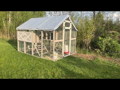 Walk-In Chicken Coop for 8–12 Chickens with 8 Nesting Boxes - PET29