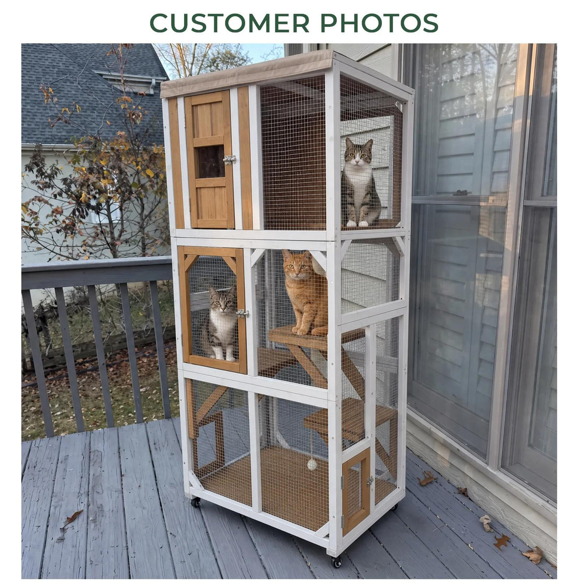 Wooden rolling outdoor catio with window access for cats